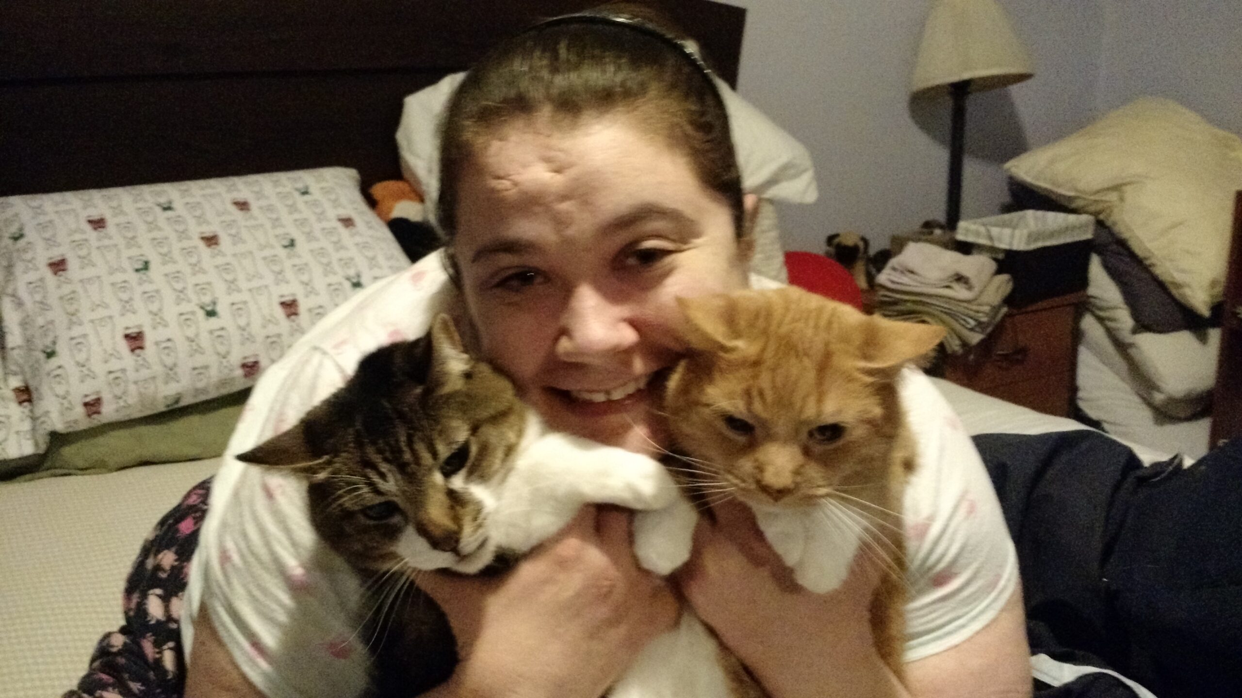 With both kitties