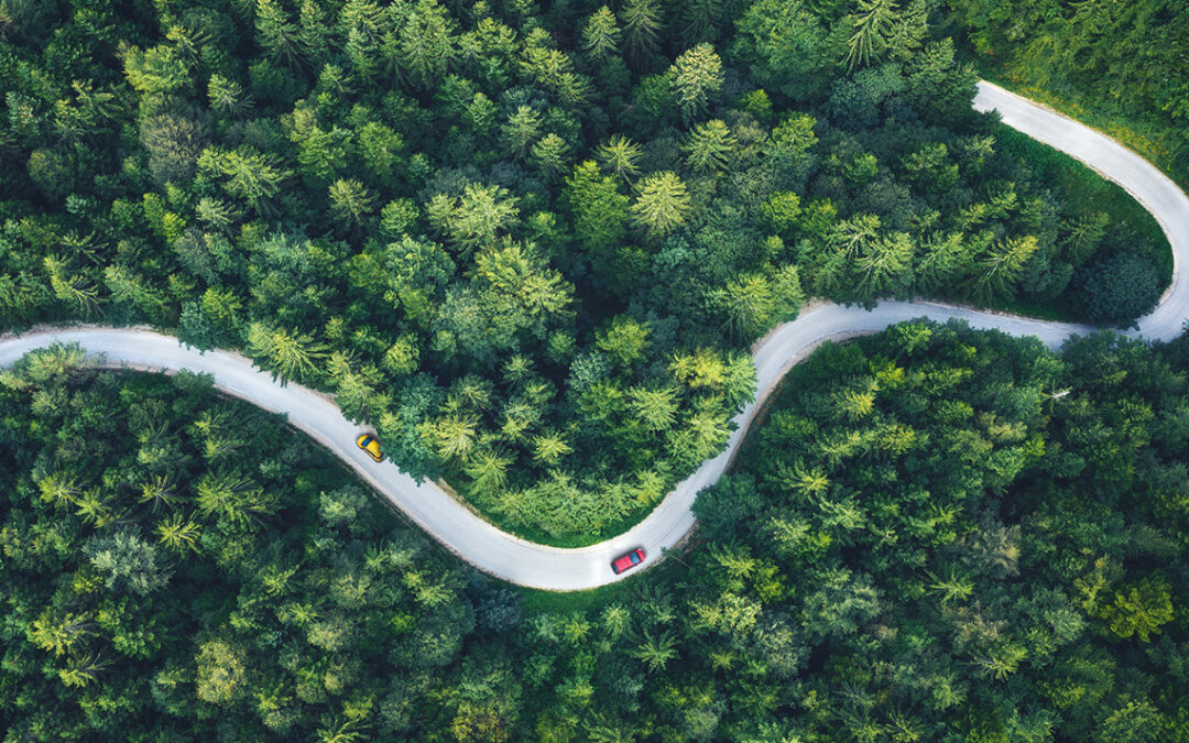 For-e-ver: The long and winding road to effective care