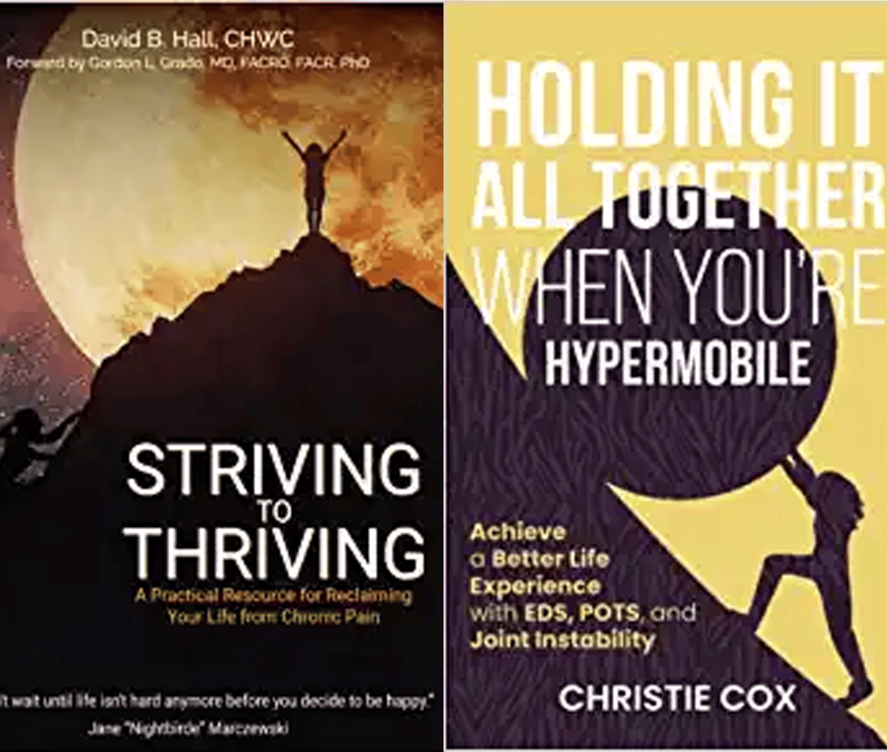 Two U.S. Pain Foundation Support Group Leaders’ Books Published