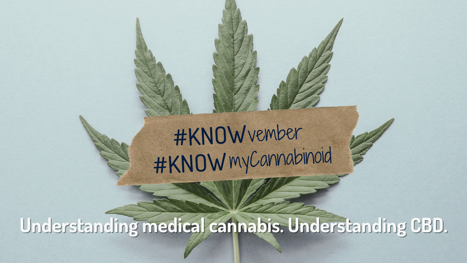 This KNOWvember, Learn About Cannabinoids With Us