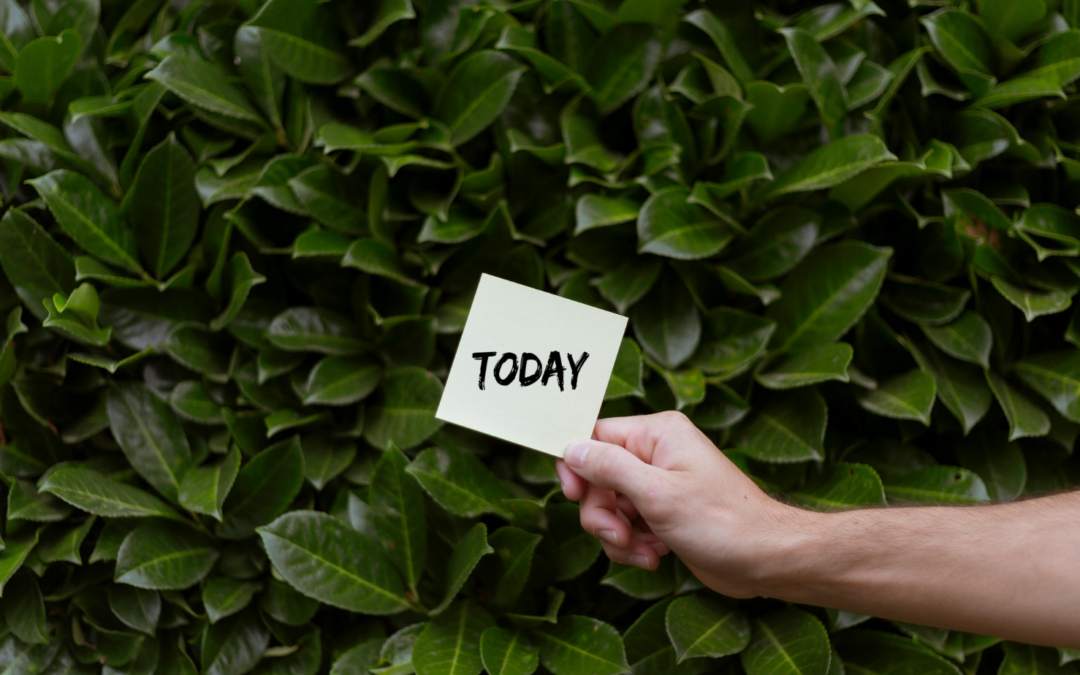 Live for Today, Despite Your Chronic Pain