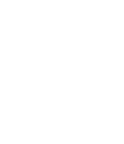 Invisible Project Logo