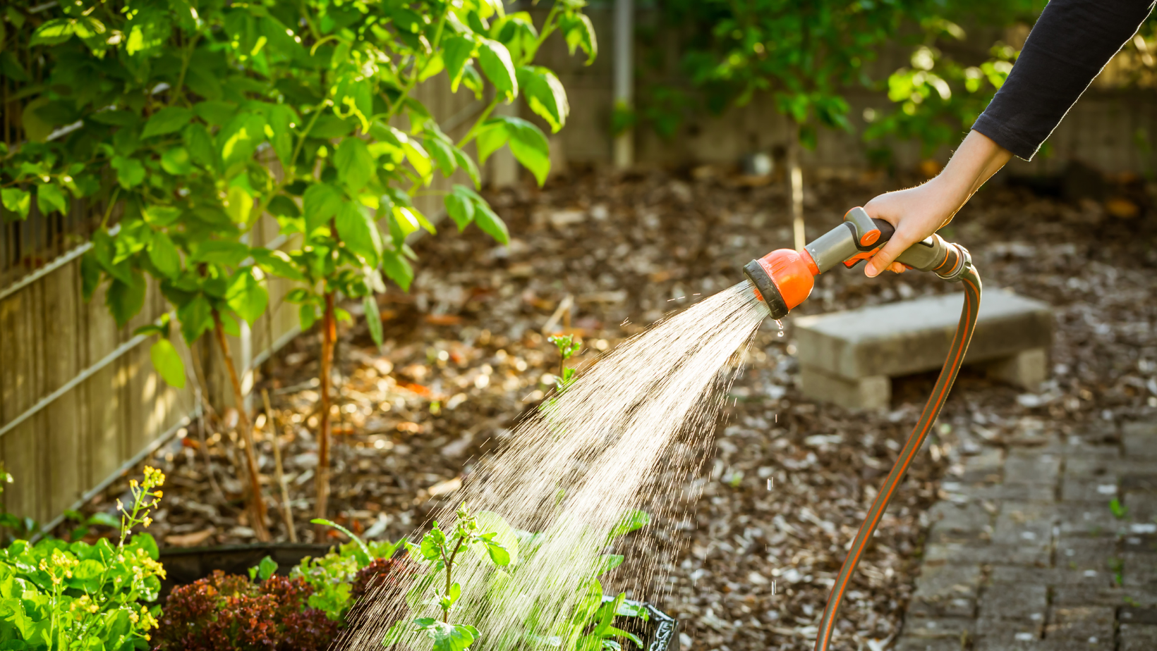 I am Real and Have My Life to Live with Chronic Pain. Do I have the Strength to Keep Fighting?