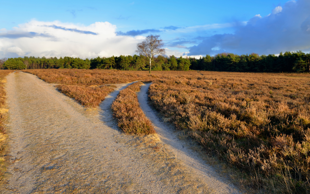 Moving Forward Without Going Back